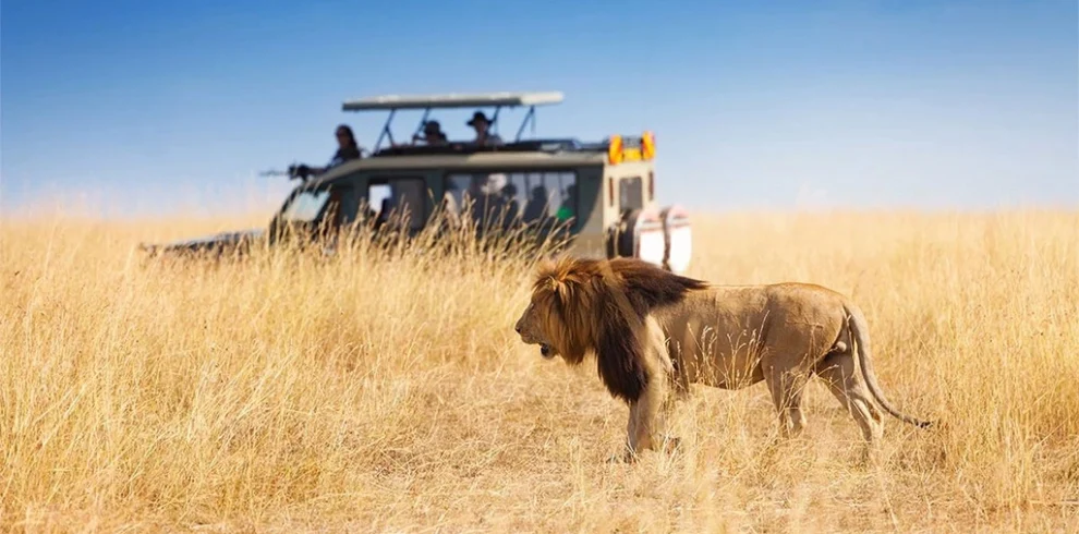 4-day-masai-mara-safari-package