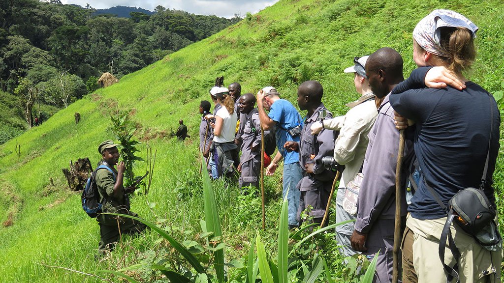 gorilla-trekking-in-mgahinga-from-kigali